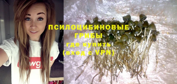 прущий лед Аркадак