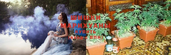 бошки Армянск